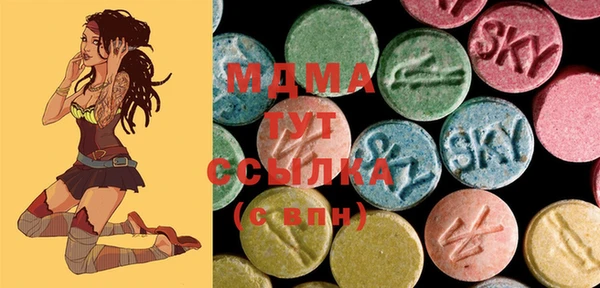 PSILOCYBIN Алзамай